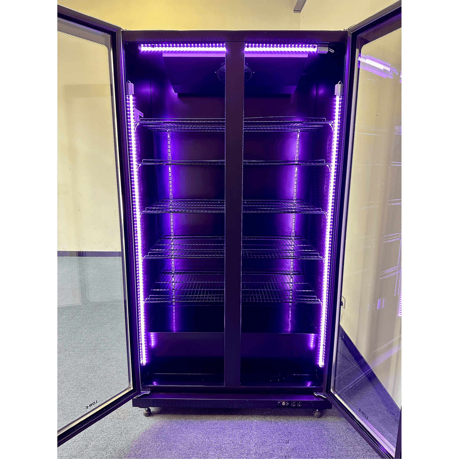 Tall black upright refrigerator with two open glass doors and purple LED interior lighting, multiple adjustable shelves.
