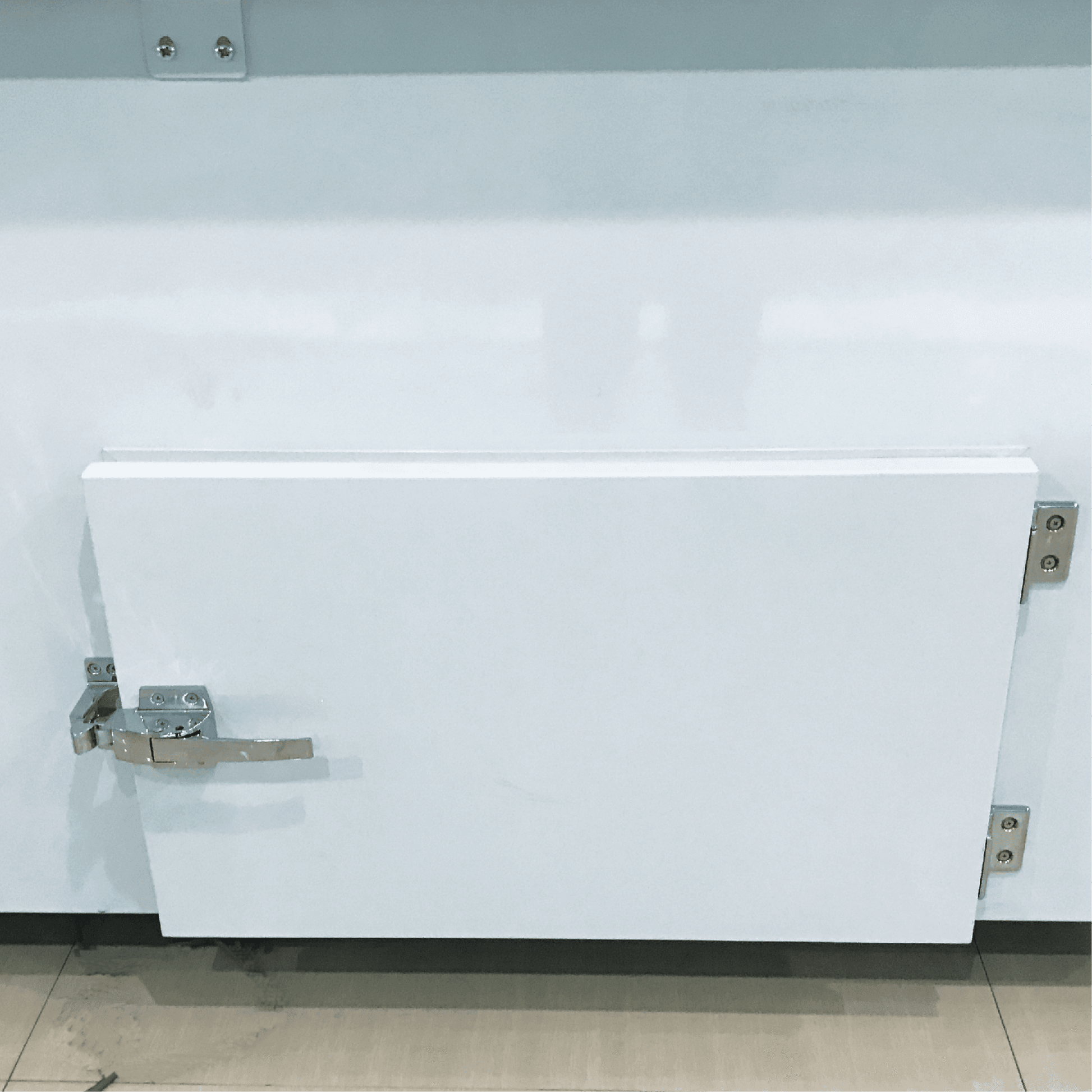 White painted steel freezer door with metal latch and hinges on a commercial freezer unit.