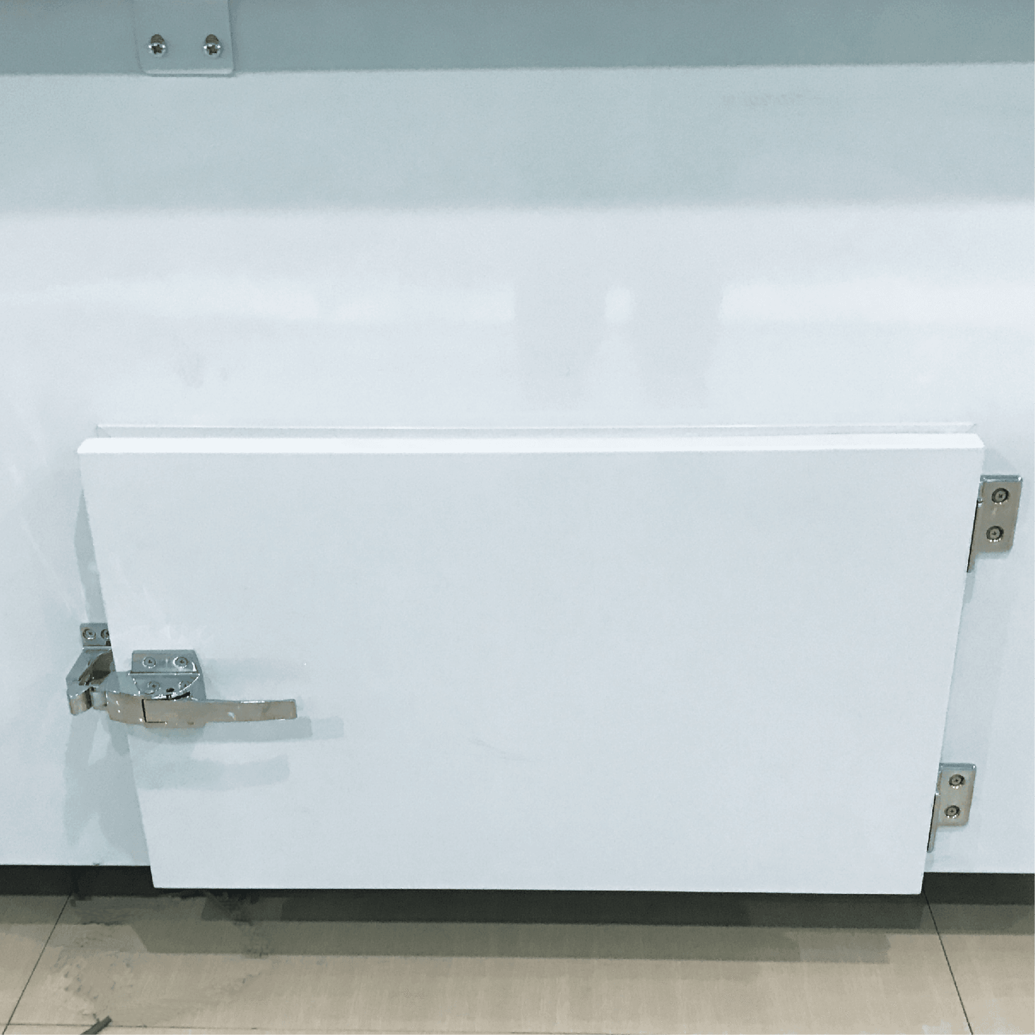 White painted steel freezer door with metal latch and hinges on a commercial freezer unit.